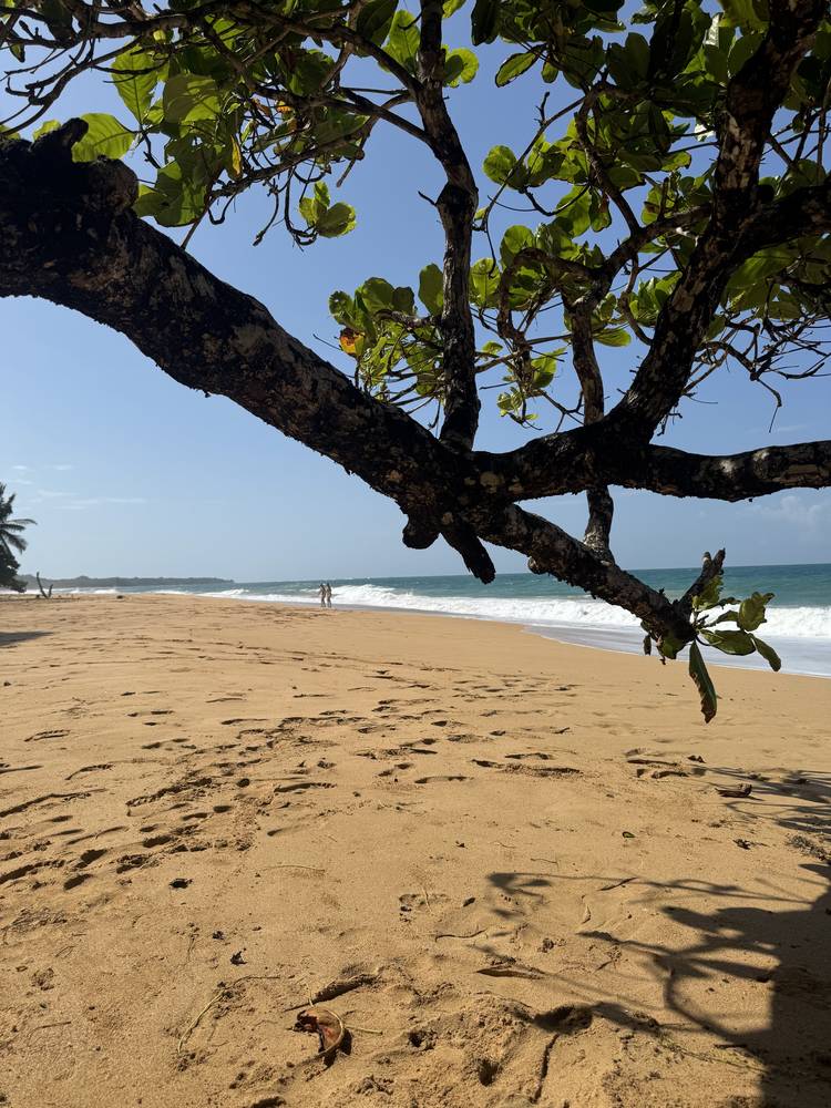 A quiet Caribbean beach, Panama