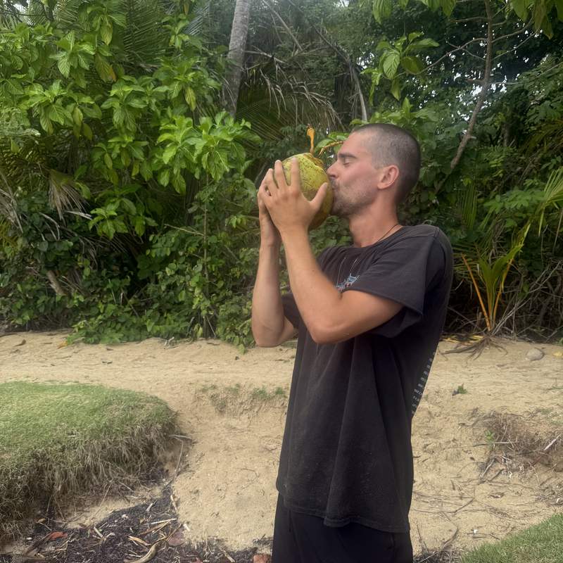 Coco en la playa, Bocas del Toro